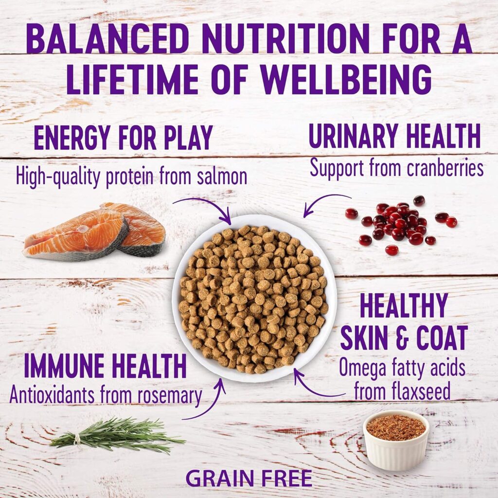 Wellness Complete Health Grain Free Senior Dry Cat Food, 5 Pound Bag Bundle Kittles Natural Grain Free Cat Treats (Chicken, 2 oz)