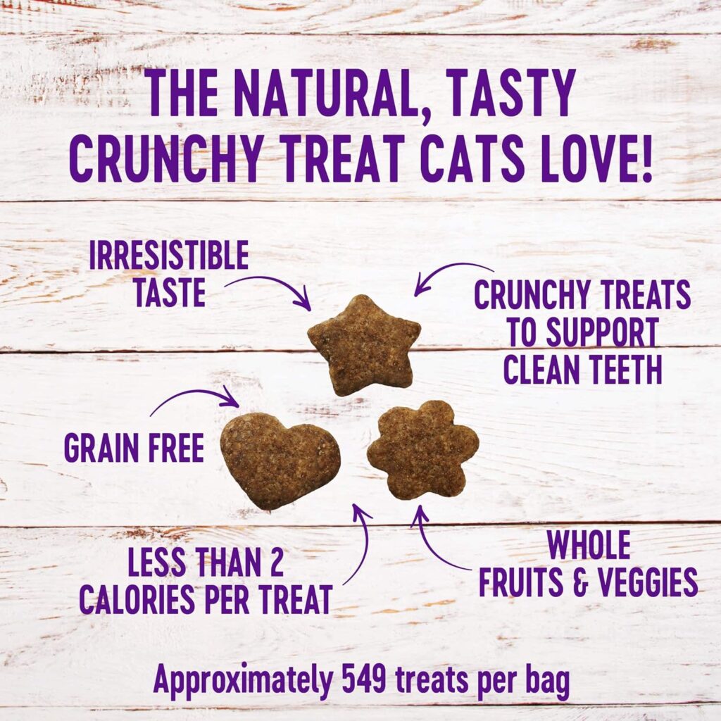 Wellness Complete Health Grain Free Senior Dry Cat Food, 5 Pound Bag Bundle Kittles Natural Grain Free Cat Treats (Chicken, 2 oz)
